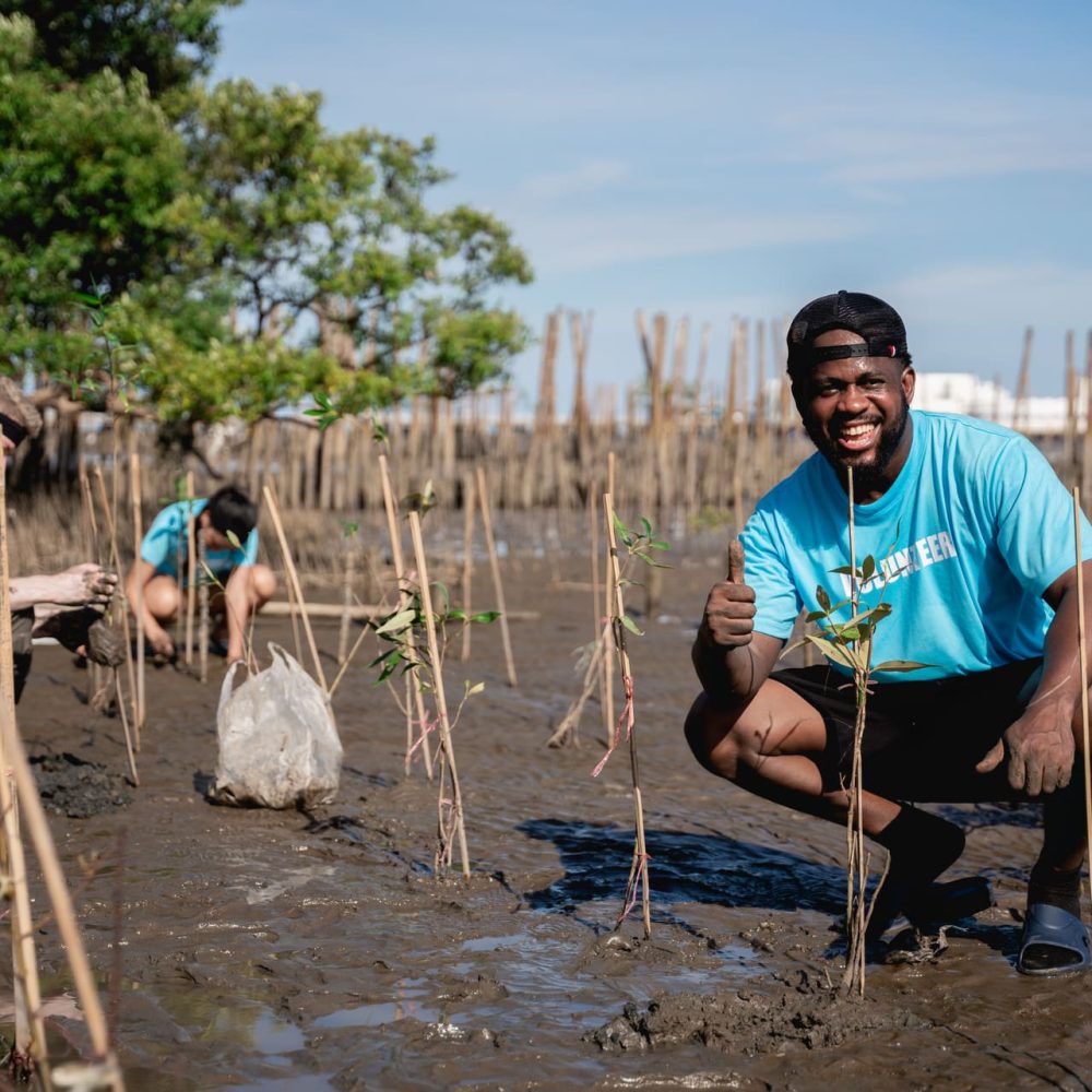 Volunteers help plant a forest to save the world in the forest park area., Environmental protection project.